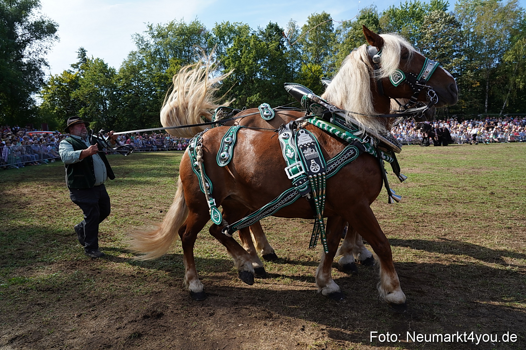 Pferde und Fohlenschau 2022 0190 